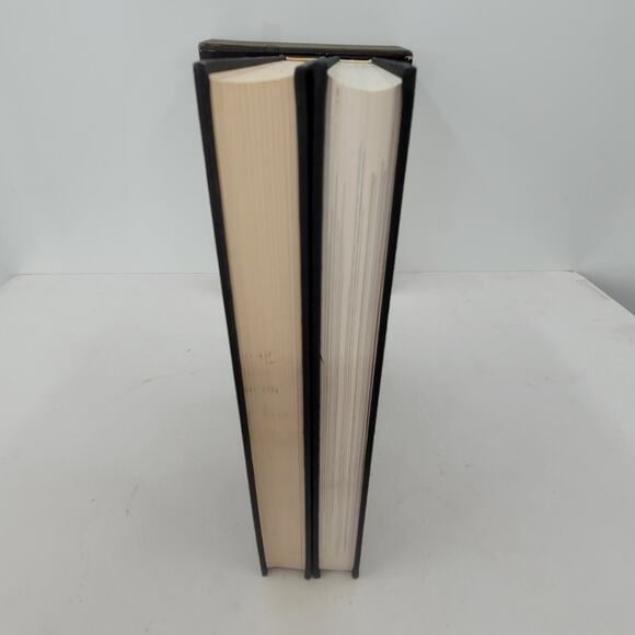 Painting in the Twentieth Century Warner Hoffmen 1966 two books set Hardcover - Picture 5 of 12